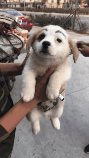 这是被谁打了一拳？