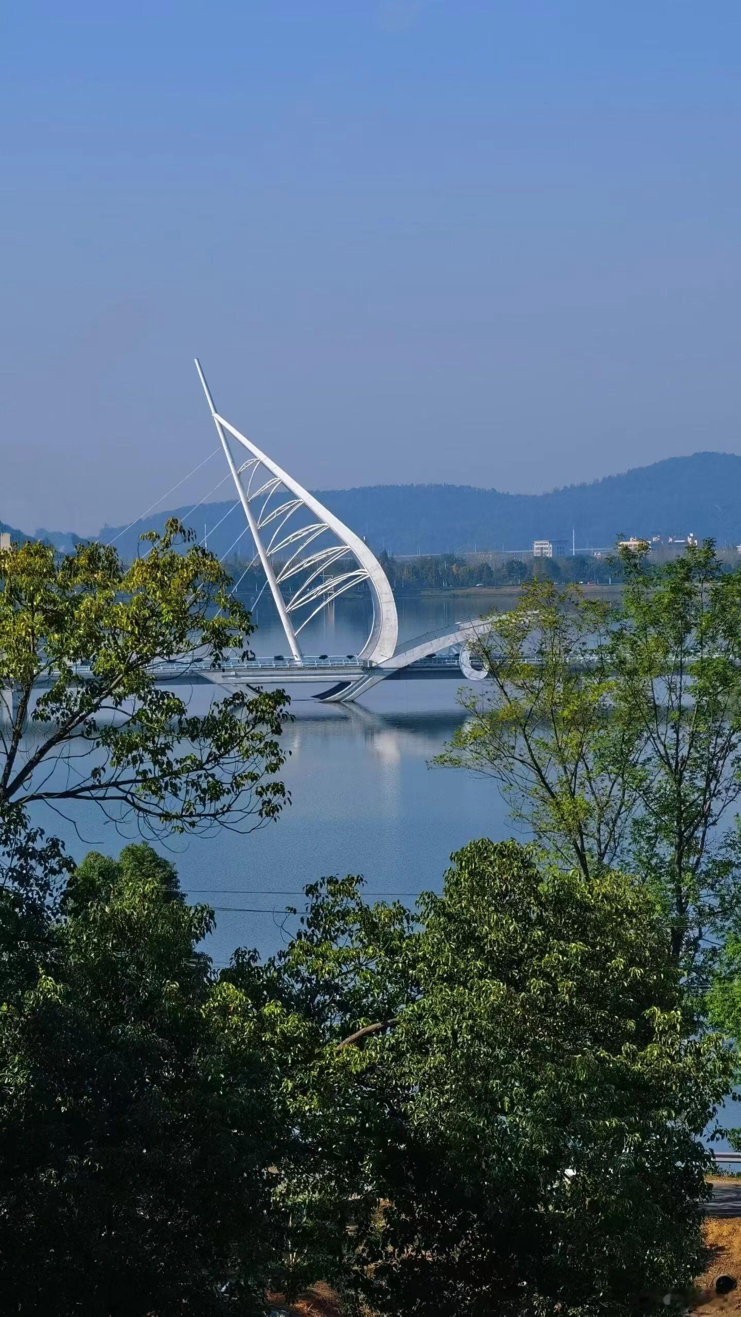 生命虽是有限的但选择是自由的一切喜爱 皆是生活本身往春天里走 要灿烂 要自由情感