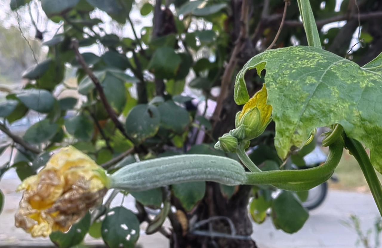 某单位召开平安工作会议，甲部门代表签到者误签了乙部门的位置，乙部门代表签到者遂直