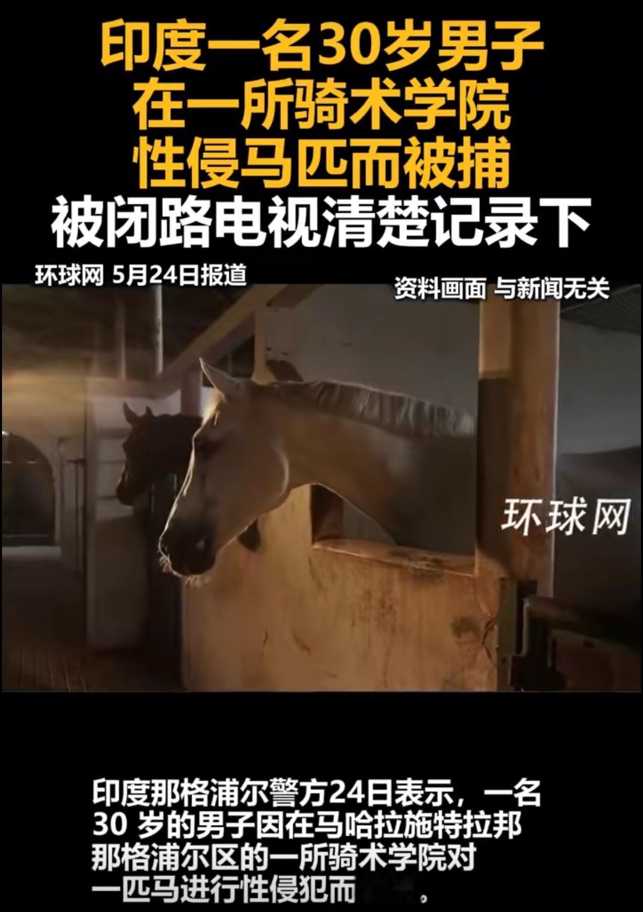 印度一男子性侵马匹被捕这真的是阿三能干得出的事儿，一点儿都没超出认知啊[摊手] 