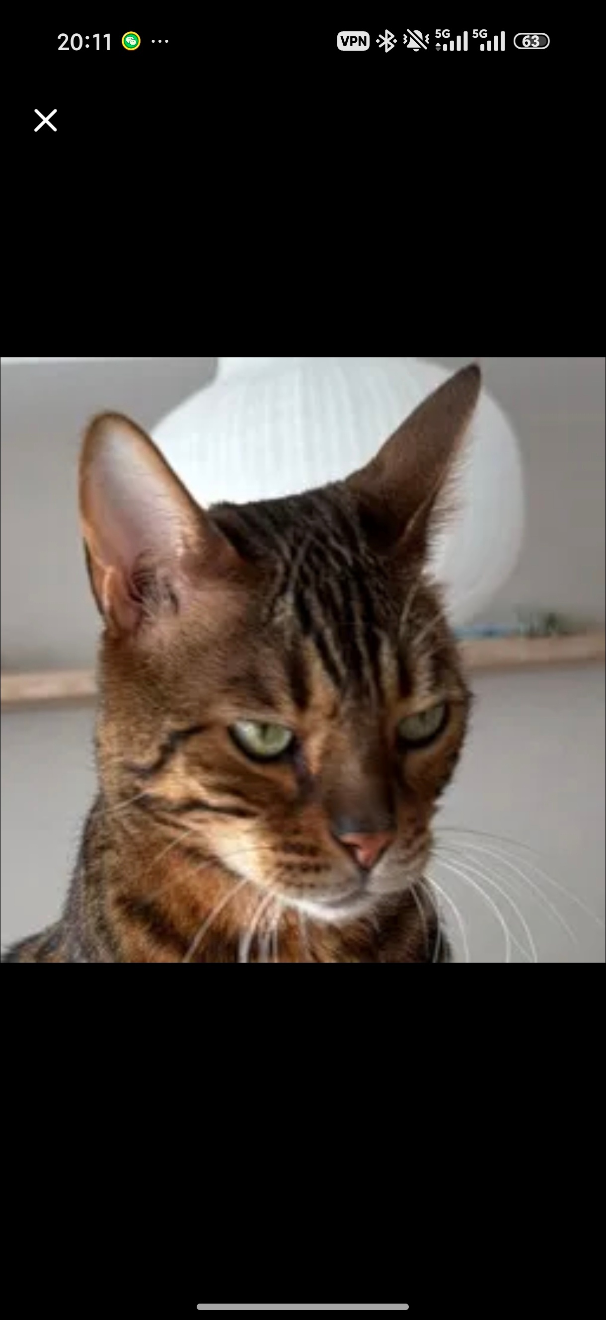 33的discord头像换成了↓我猜是Jimmy或Sassy但分不清这俩 ​​​