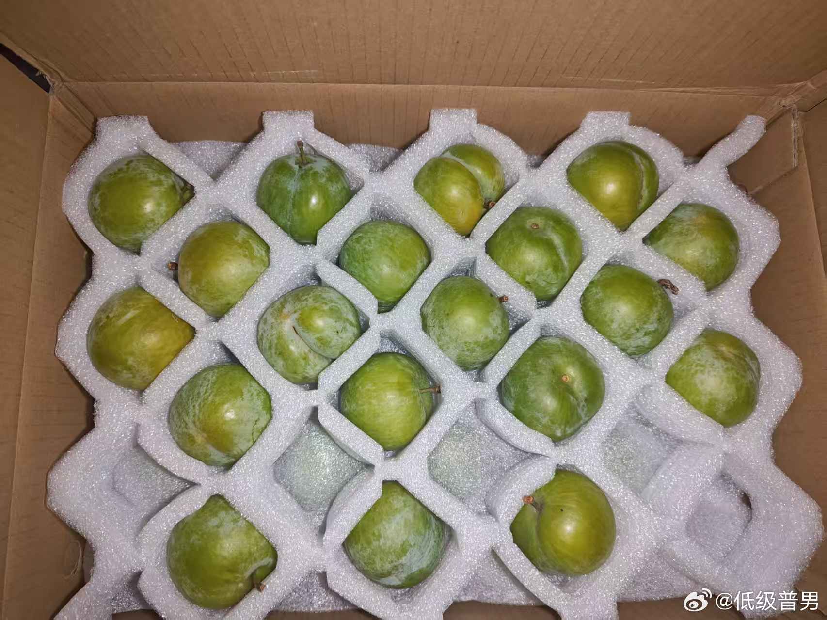 嘿嘿 