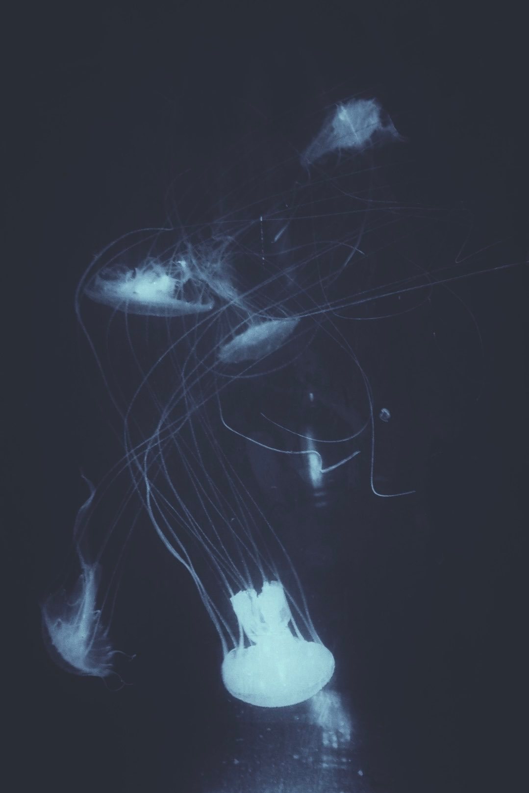 𝑸𝒖𝒊𝒆𝒕 𝒈𝒓𝒂𝒚-𝒃𝒍𝒖𝒆 💙🩶 