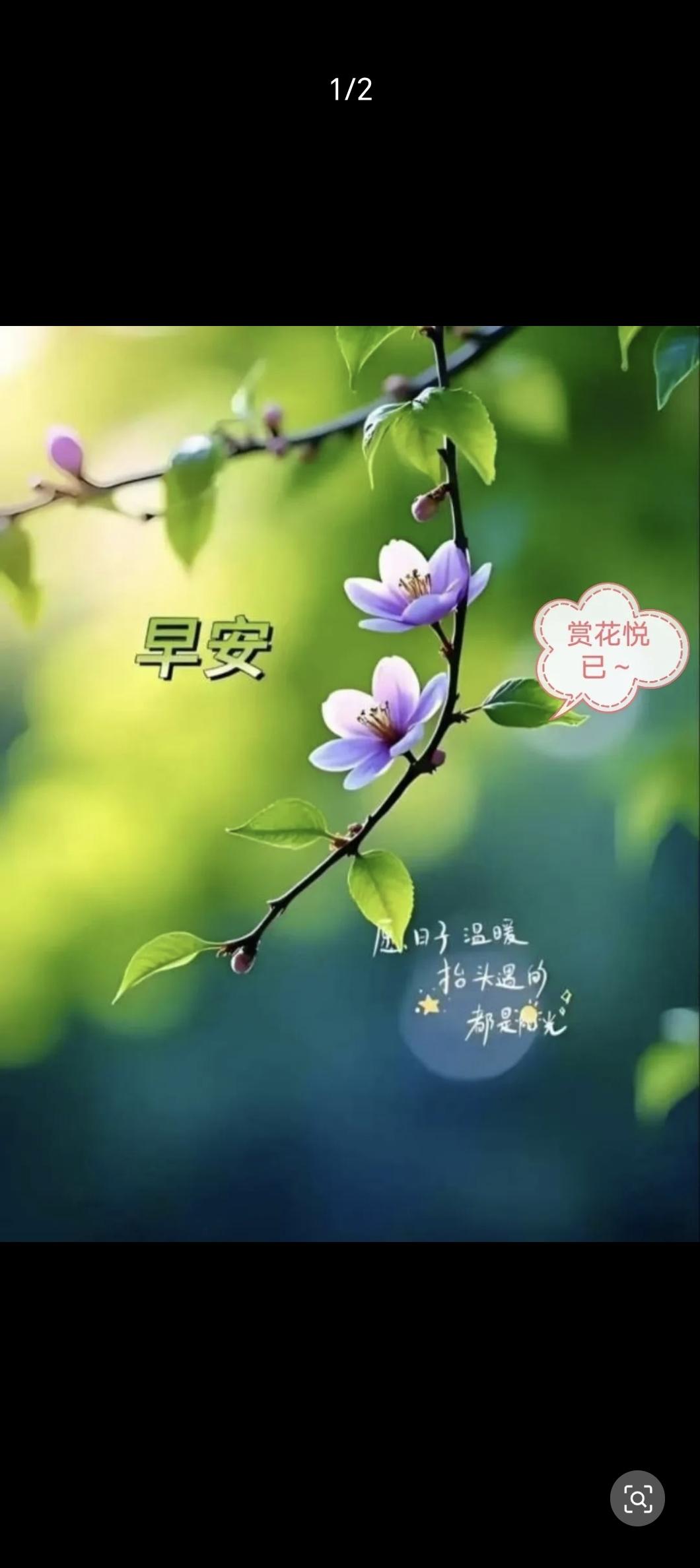 花开烂漫映幽径，我自闲游意渐宁。
不叹瑕疵身有缺，且拥绮梦韵中盈。
浮尘倦意随风