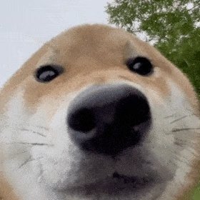 脑瘫女孩60S广告报价4.2万脑瘫的人都比普通人赚的多