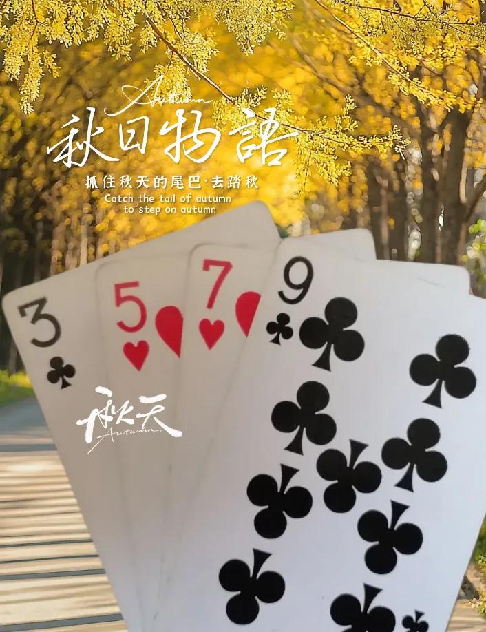 24点解法：数学的快速反应