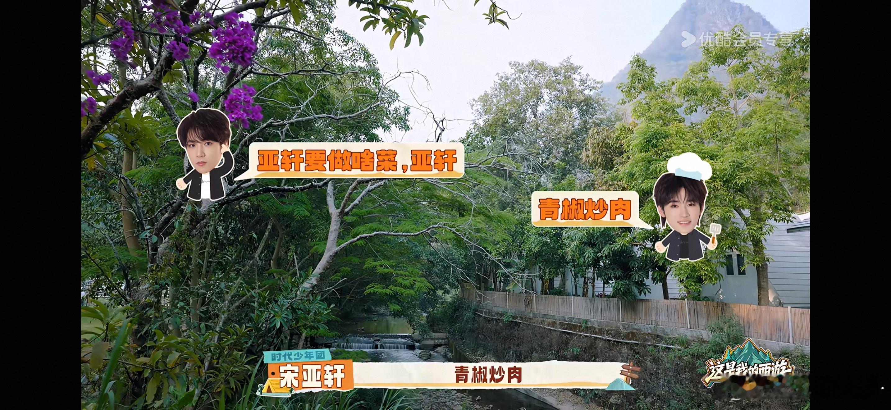 亚轩～