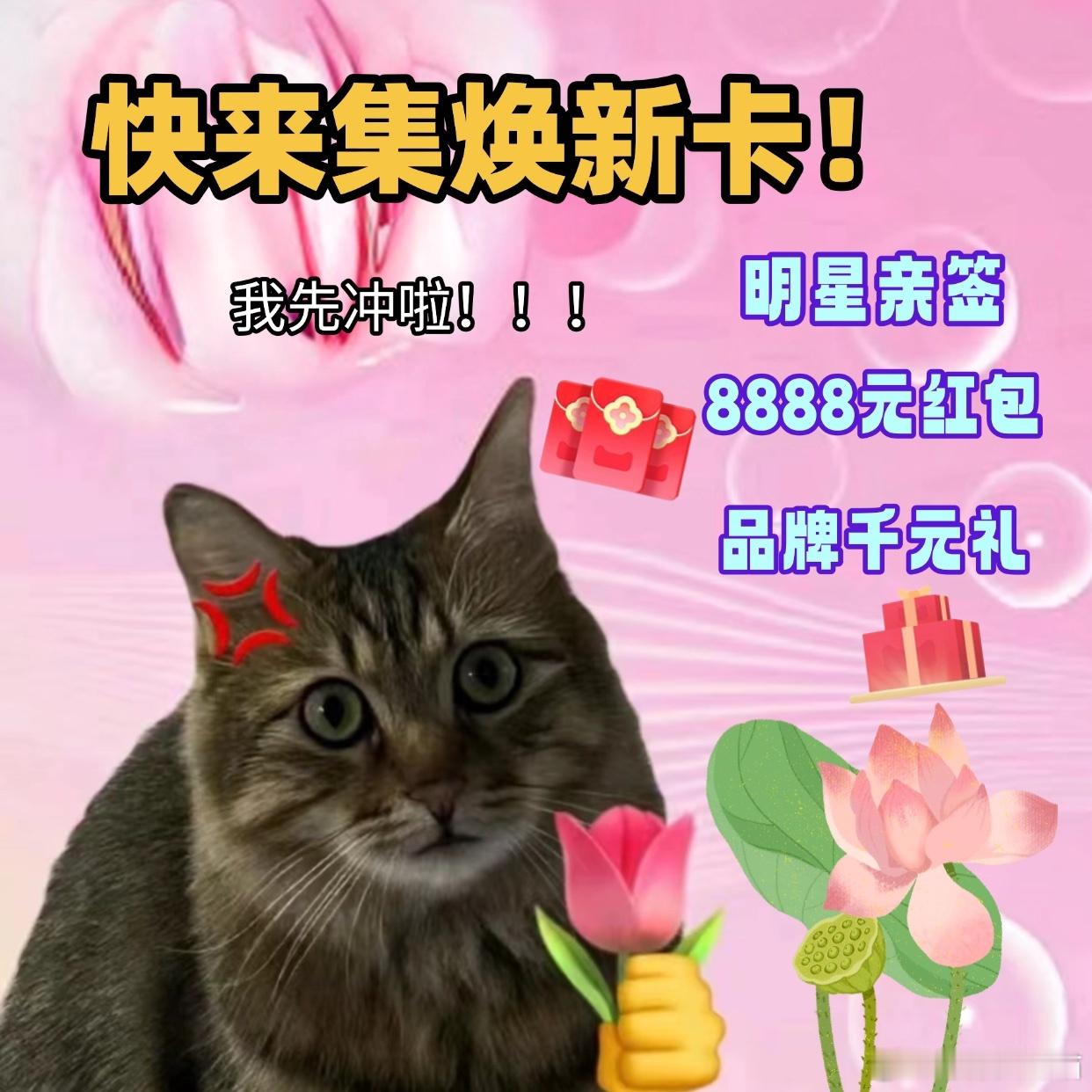 杨紫说无论何时牡丹都会盛开  牡丹花语搭配杨紫真的太适合了，大家赶快去tb集卡抽
