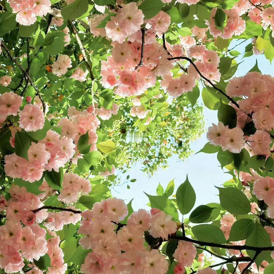 每日一善每日一善‬阳光‬‬信用 你今天的努力，是幸运的伏笔，当下的付出，是明日的