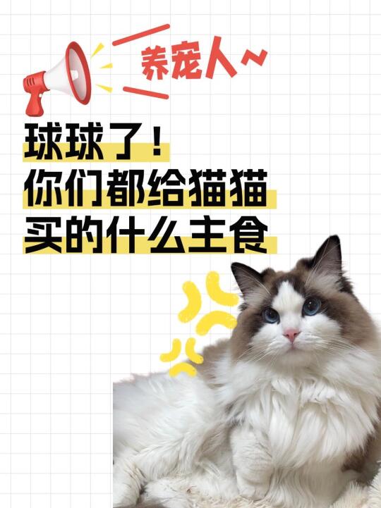 球球了！你们都给猫猫买的什么主食！