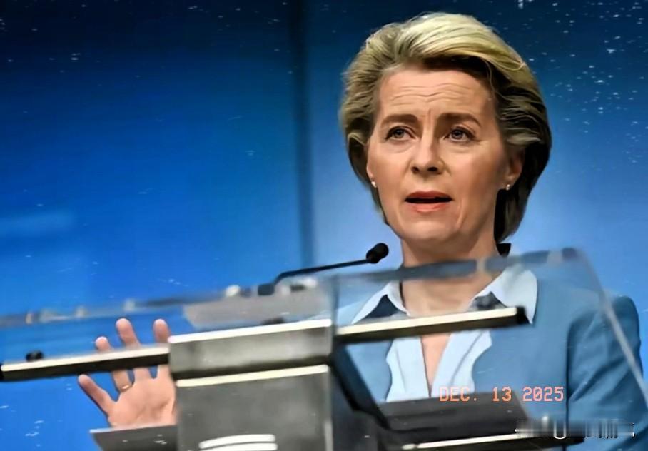 当地时间12月12日，欧盟轮值主席国丹麦官宣，27国以有效多数票通过决议，无限期