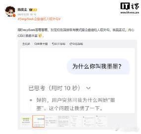 DeepSeek回应起外号只是临时打标签【DeepSeek被曝偷偷给用户取外号，