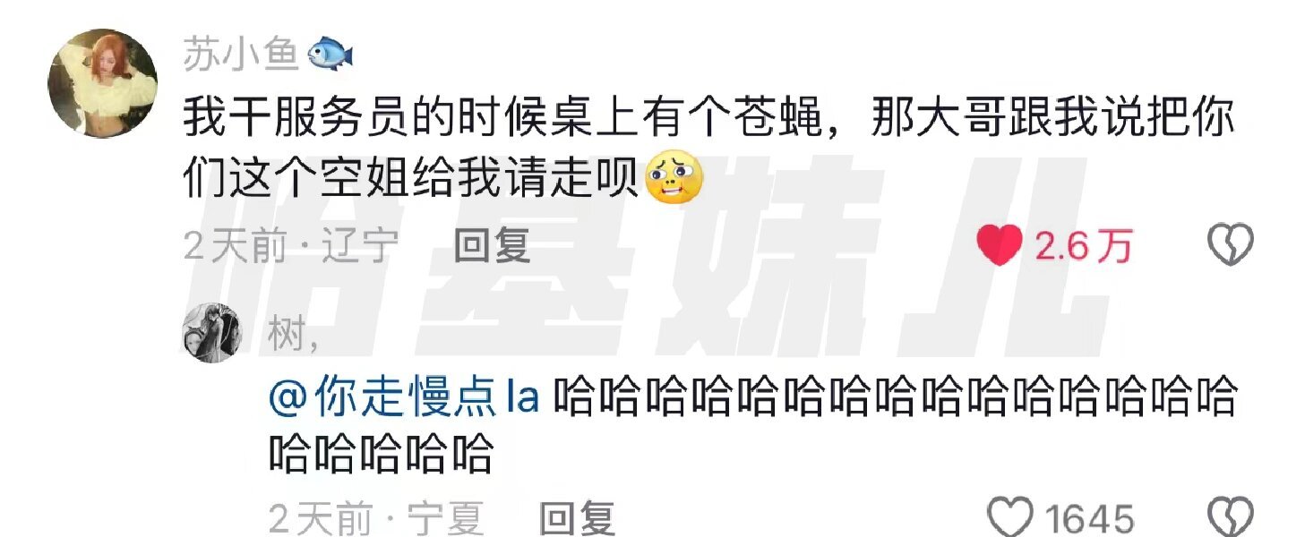 东北人是晚上偷偷背梗吗哈哈哈哈哈哈哈哈哈哈哈哈 ​​​