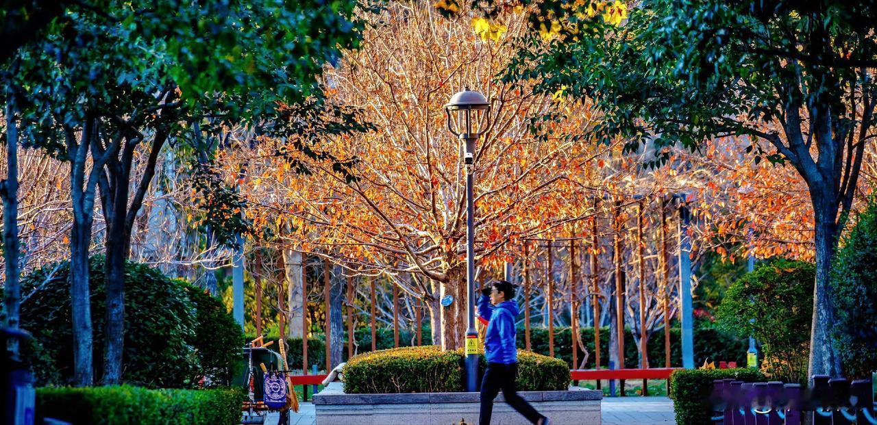 “忽然想来你这里坐坐，只是坐坐。情绪一下子上来了，不知道为啥。我感觉我抑郁了，病