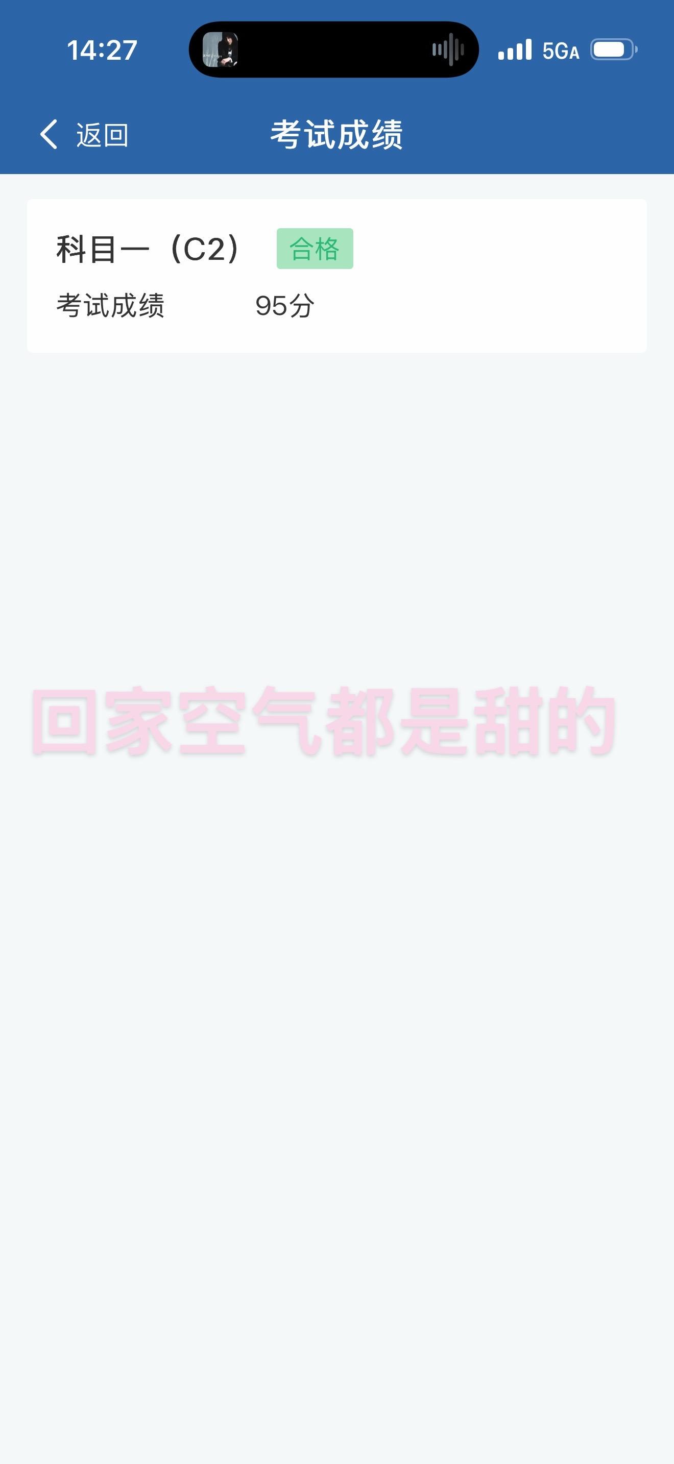 科目一过了的心情风都是甜的