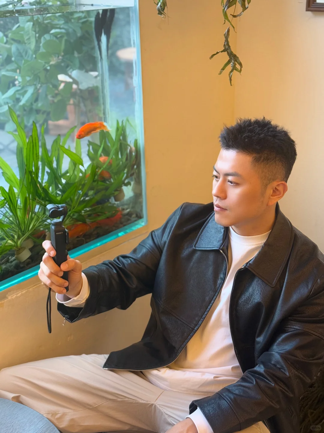 没有动态的日子