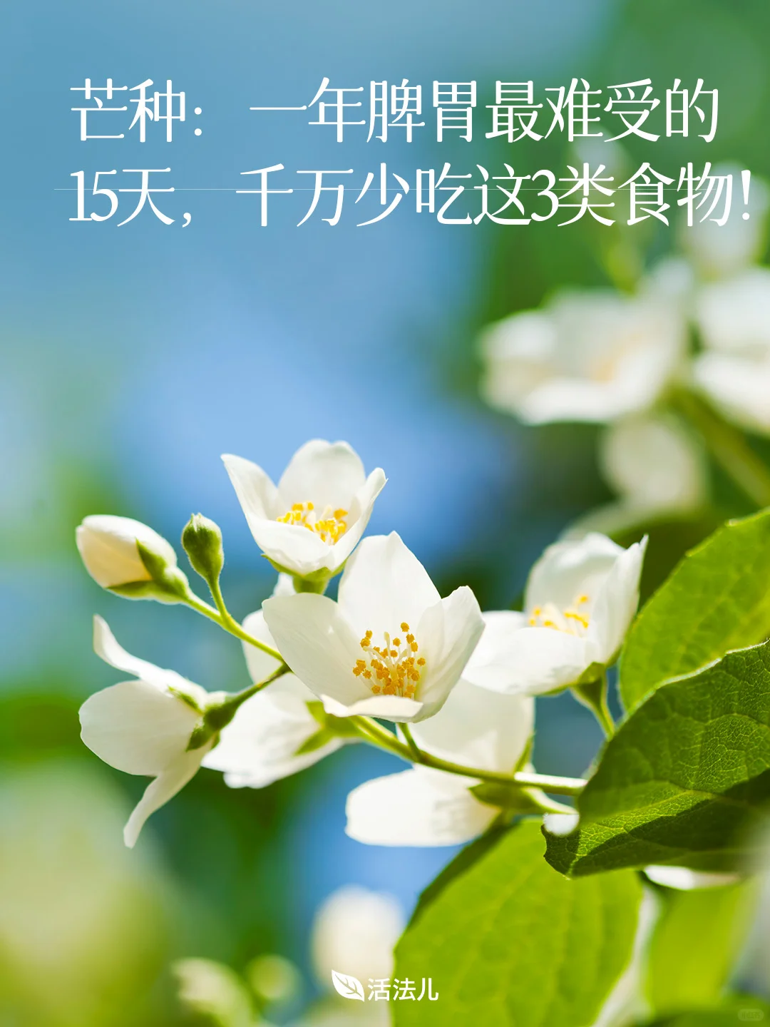 一年脾胃最难熬的15天，千万少吃这3类食物