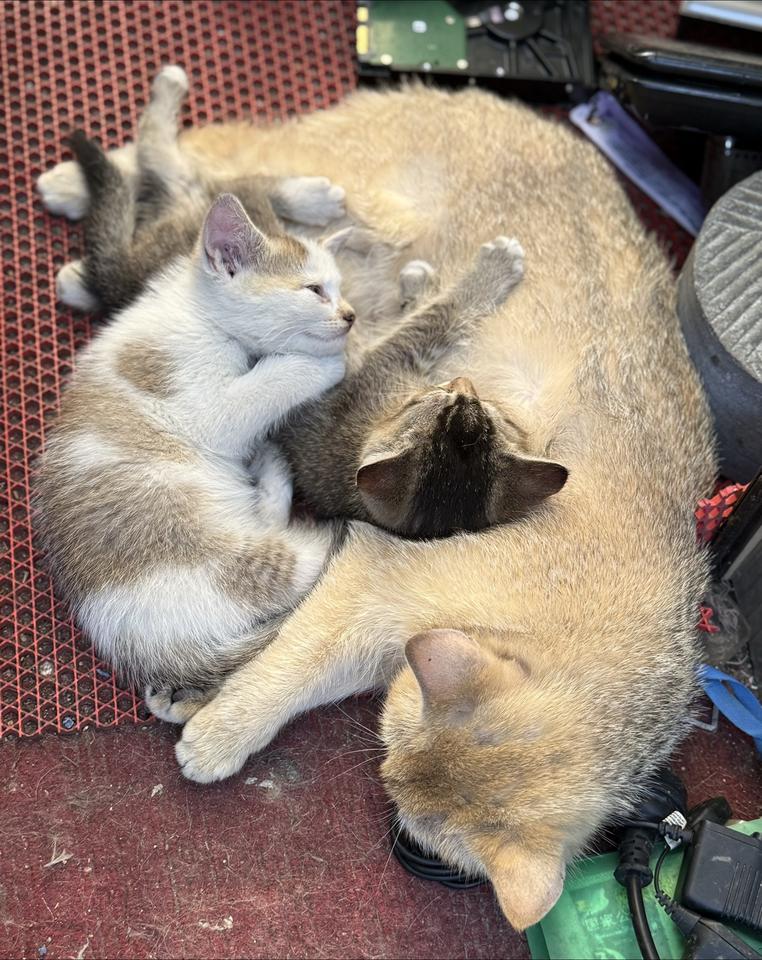 幸福美满的生活