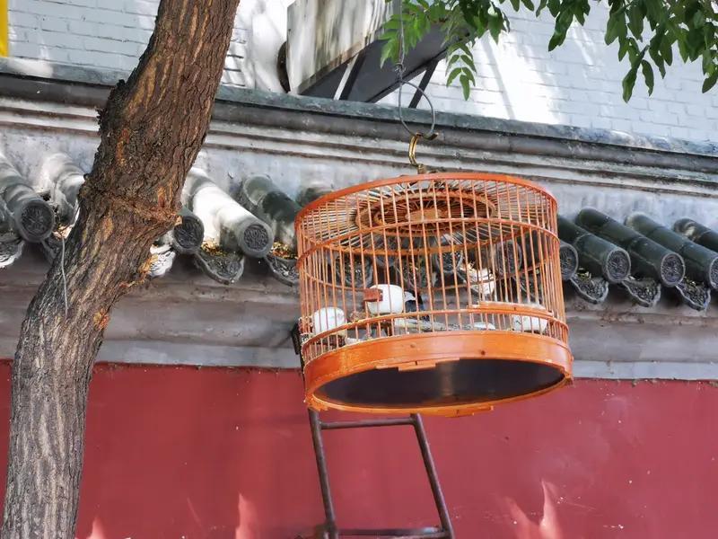 语言真是太奇妙啦，不同地方“干什么”的说法差异巨大。像北京、天津、河北等地，“干