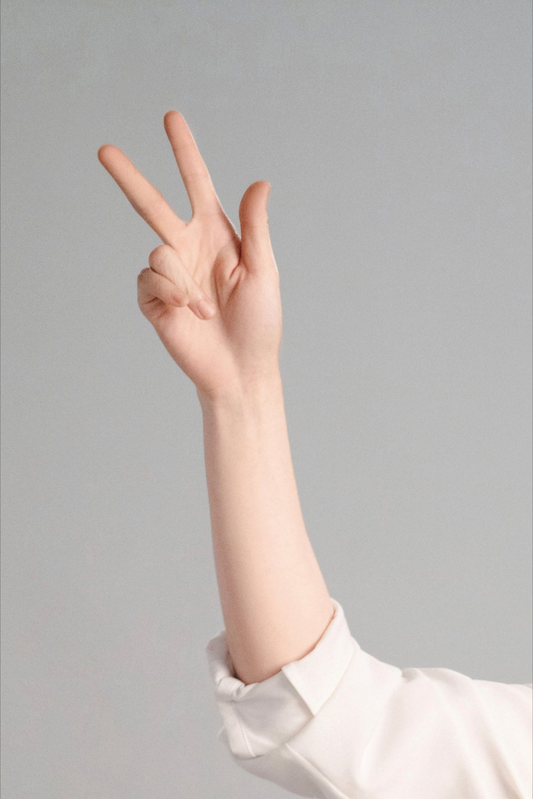 真兔兔来的🐇 