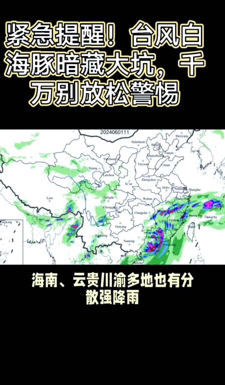 强台风“白海豚”直扑浙江！正面贯穿全省，这些防范要点务必记牢
 
8月8日最新动