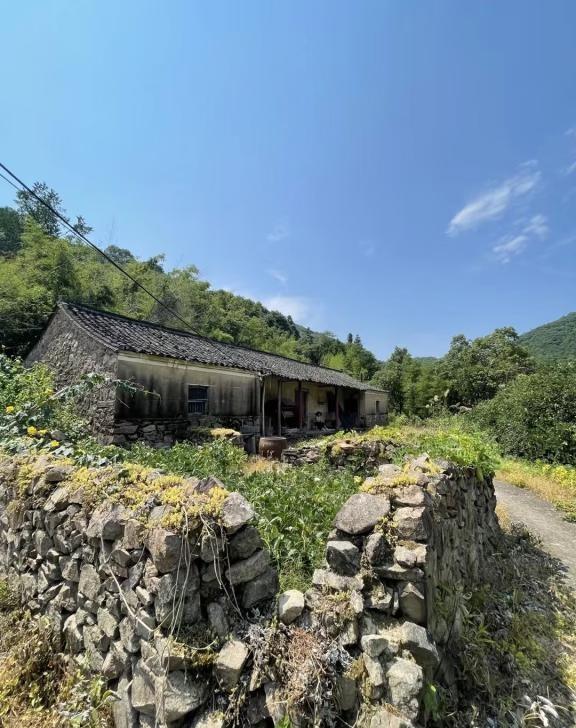 爷爷说我生了三个孩子没地方住 送我一套房
开开心心的期待了一下
一看
哎呀
好像