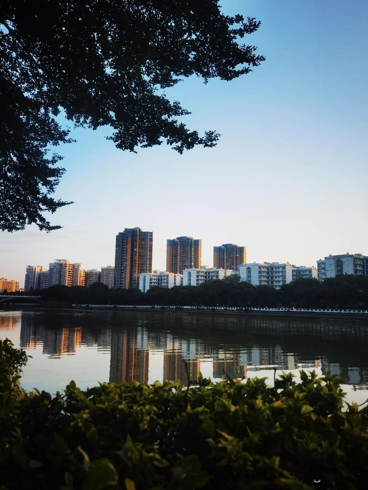 我的摄影日记水天倒映的美，平静中透着光！爱了爱了[比心]