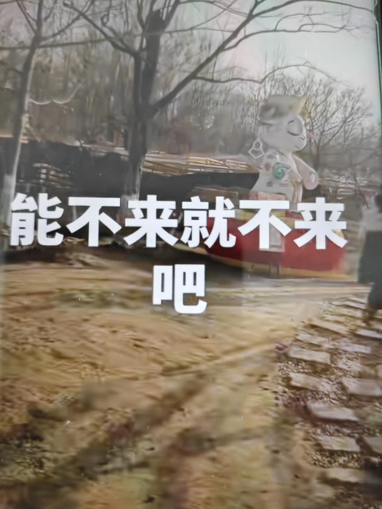 实话实说，即墨区最坑、性价比最低的景区当属龙泉那个花海乐园，宣传和现实差距甚远，