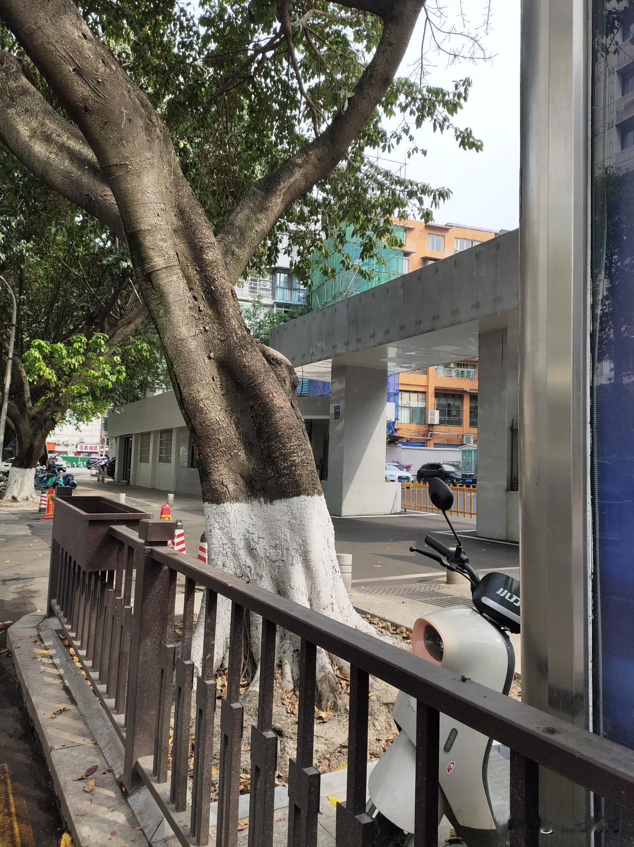 涪江路安了人行道隔离栏
近日，笔者在顺庆区涪江路看到部分区域的人行道边安上隔离栏