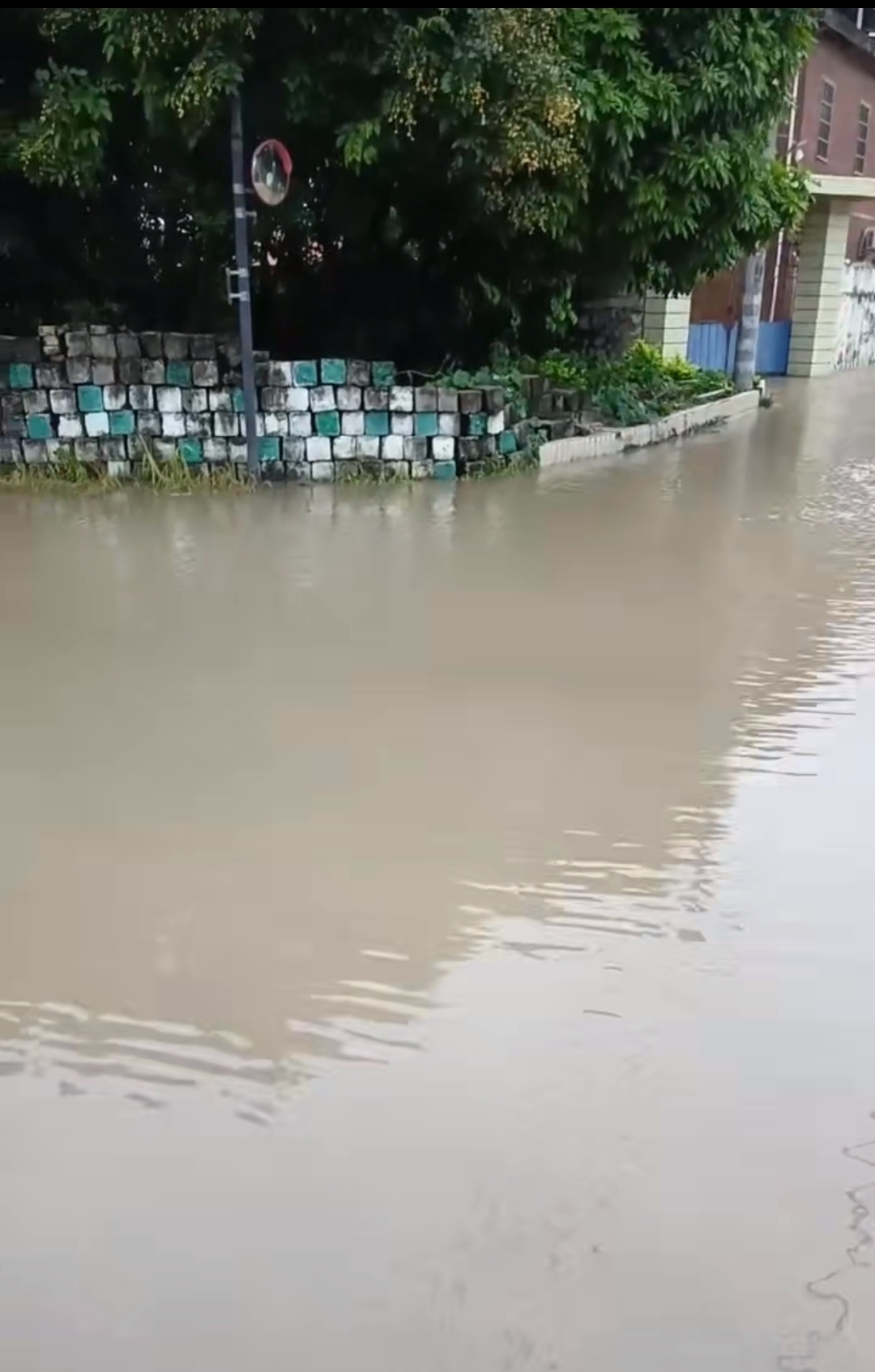 广西抗洪  我桂加油俺们村也涝了 