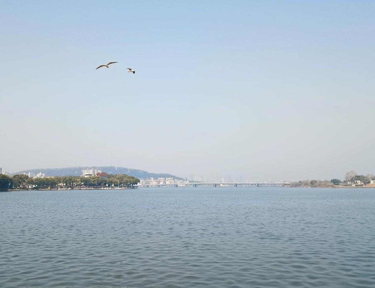 冬日暖阳，东湖一隅，山湖美景，自然和谐