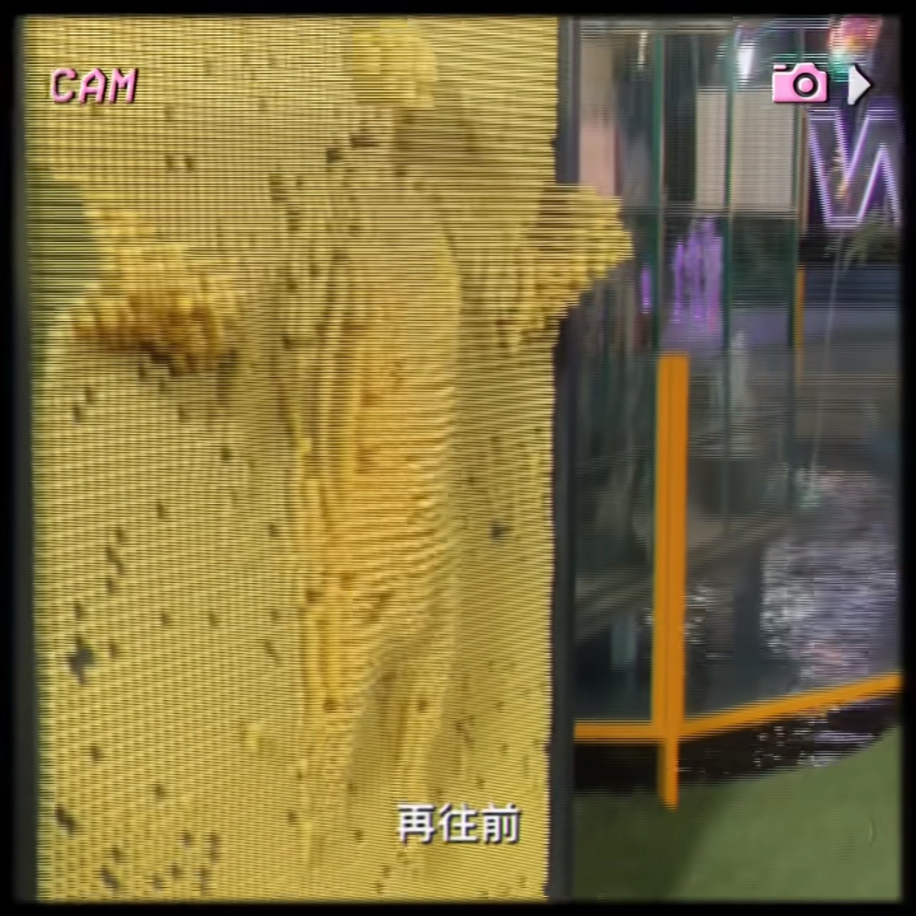 一开始还在想谁顶出来的小玩意儿，回头一看，原来是这么一个大帅哥🤣🤣🤣王源
