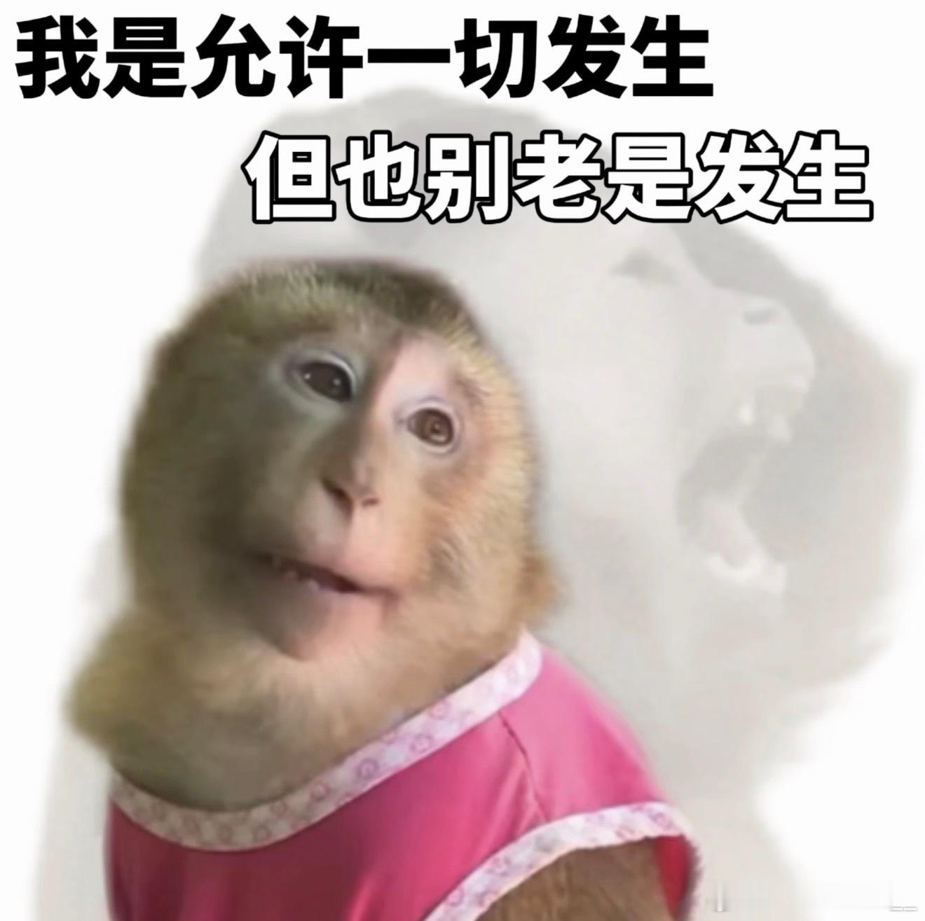 我是允许一切发生，但也别老是发生 