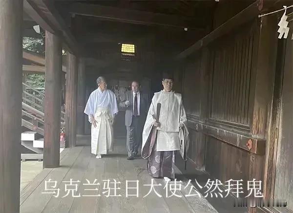 你的所作所为，我们能同情你、支持你吗？乌克兰亲美，事事处处看美国人的脸色，甘愿充
