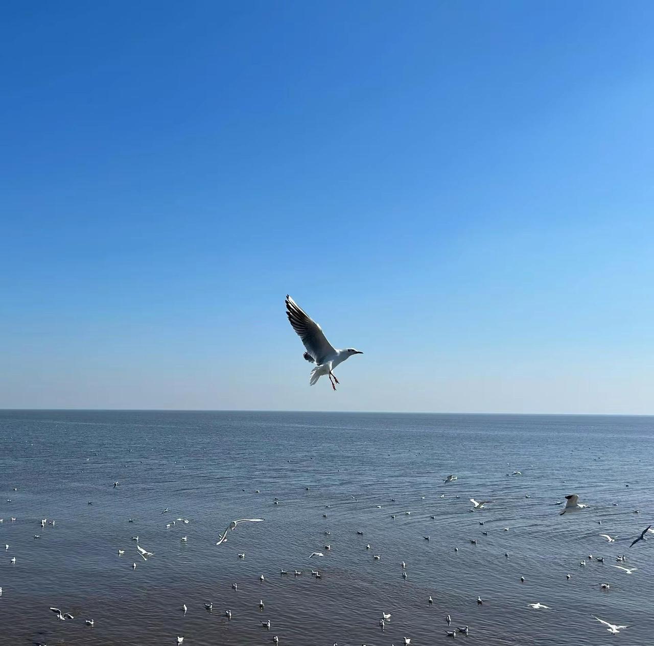 又看到一个帅男说阳光少妇视频🤭🤭🤭，回想现实互联网时代！礼物一刷感情到家，