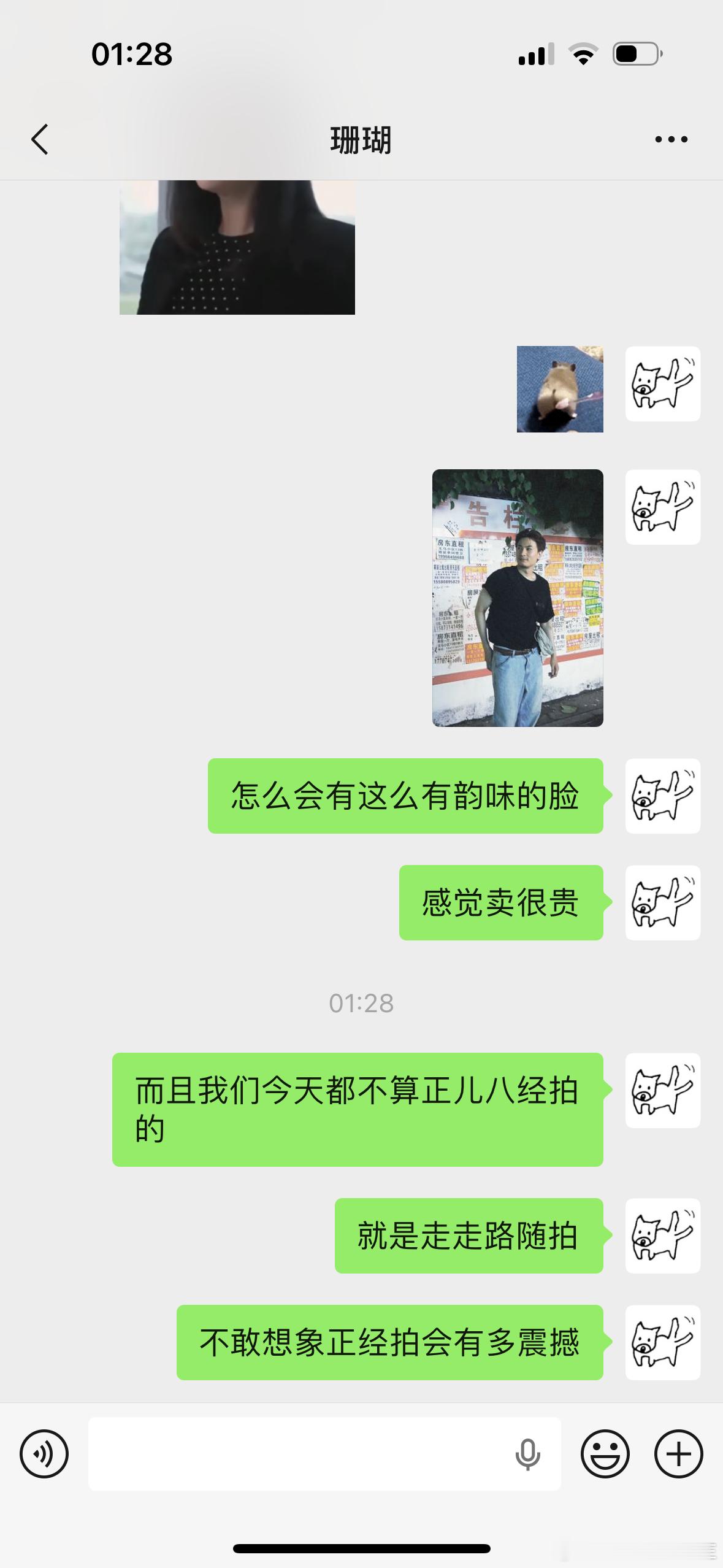 我们水仙花的日常高情绪价值对话 