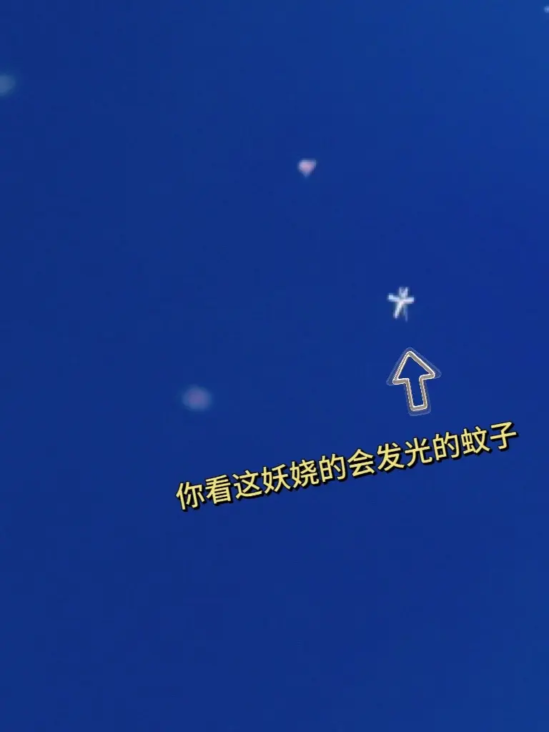 范围感都是蚊子给的～