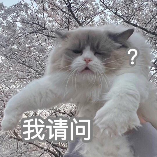 被迫上早班的样子