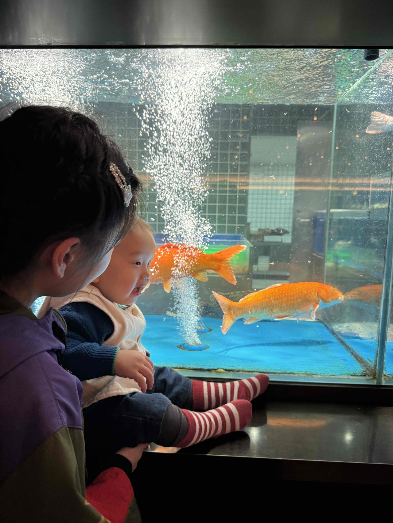 玻璃缸里的鱼在冒泡，你眼里的光在闪烁。世界很大，此刻的好奇与欢喜，却小得刚刚好。