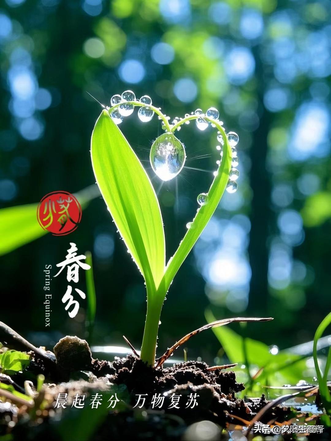 今天是春分，雨。
上联：春分春雨兆瑞岁
下联：欢迎赐教[比心][比心]