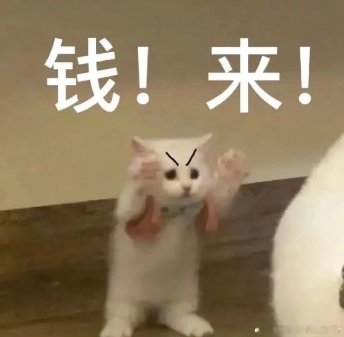 迎财神财神可以说是人气最高的神仙之一了！初五迎财神，我也要为财神爷打call！希