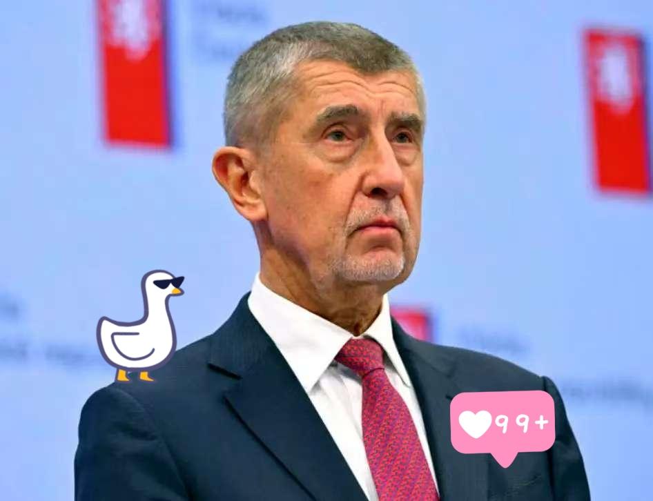 捷克总理表示了！

当地时间1月6日，捷克总理安德烈·巴比什在巴黎参加“意愿联盟