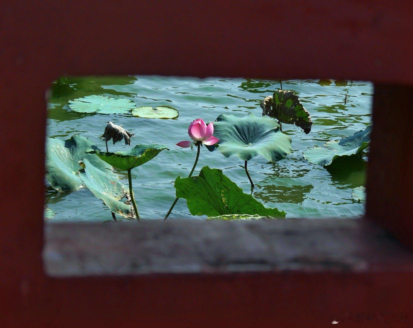 每天都在感恩～遇到的每个人都好好～～～刚爬上山有点晕，我就坐台阶上排队，工作人员