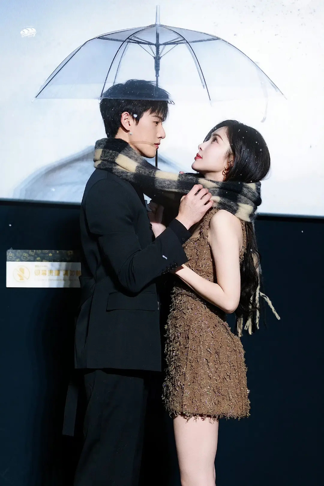 你在看雪 而我在看你。。 