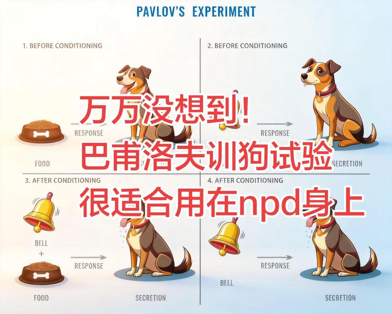 我是bpd，驯化npd亲测有效。表现好就给好脸，表现不好就给冷脸。态度恶劣你还包