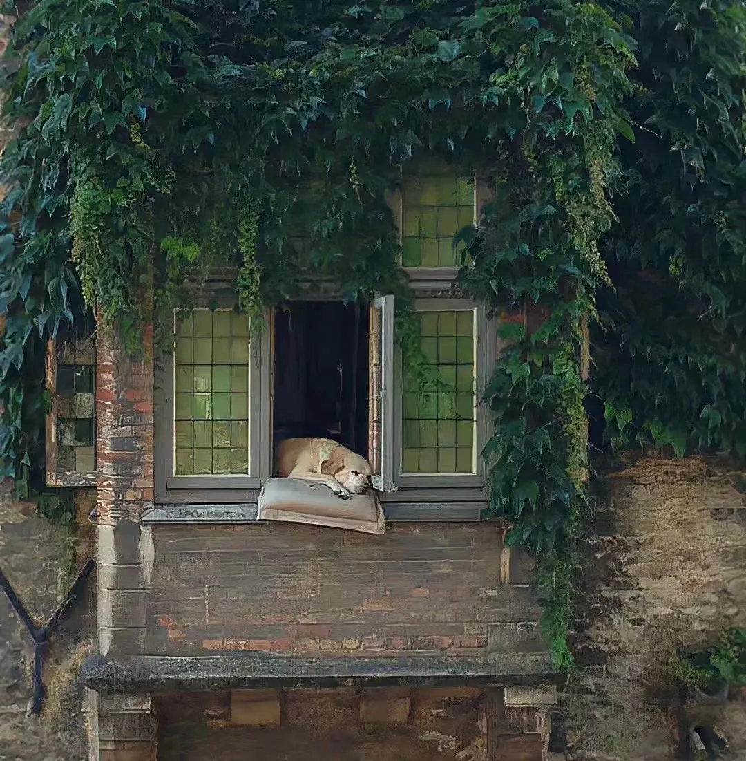 原来修勾也会有烦恼呀…