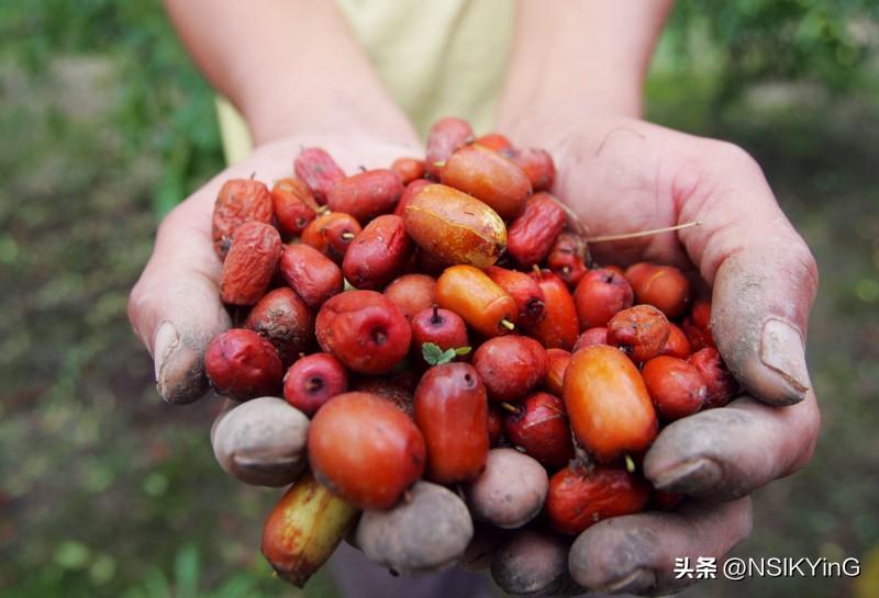 想要通过饮食淡斑，关键在于抗氧化和抑制黑色素。

· 维生素C大户：能还原黑色素