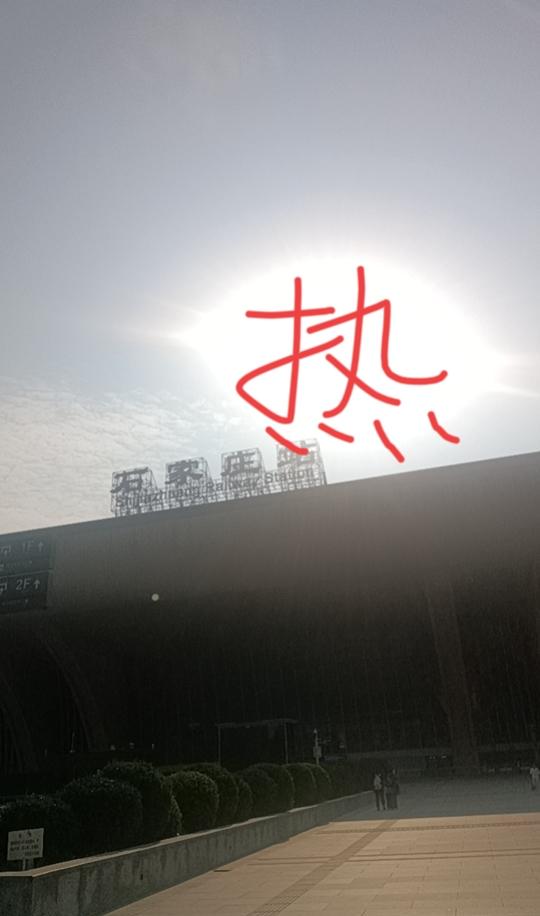 庄里的太阳，早上就这样大，看来又是大热天啊！国际庄，这温度都带国际范儿[捂脸][