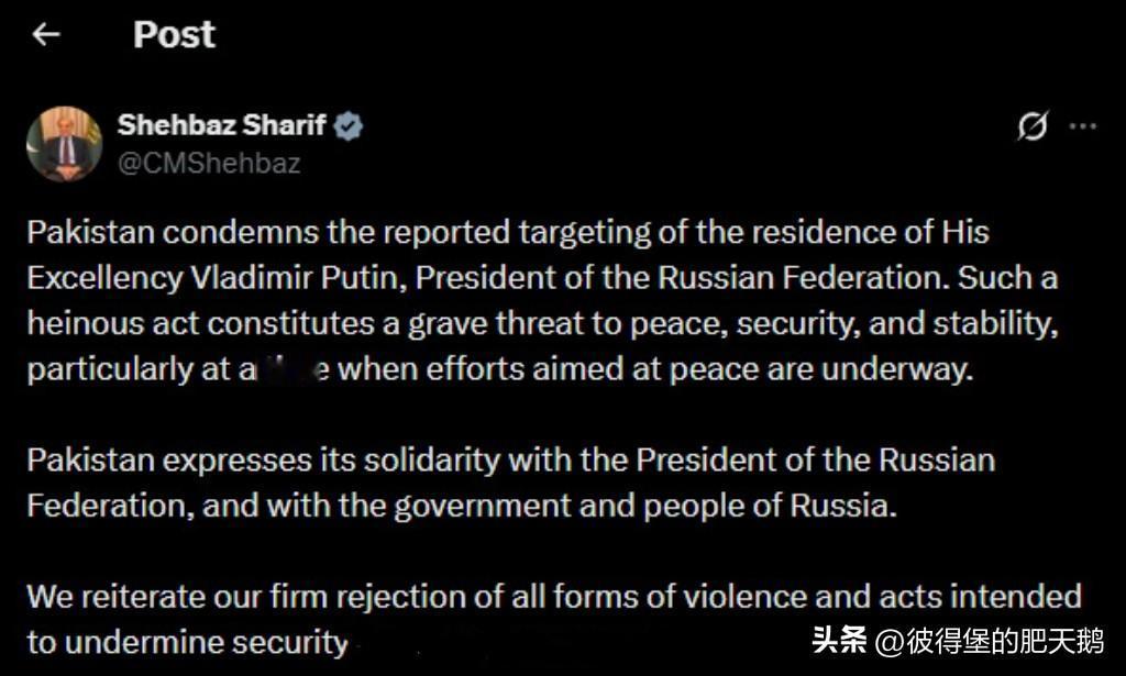 印度和巴基斯坦分别就乌克兰无人机袭击普京官邸事件发表声明

巴基斯坦总理谢赫巴兹