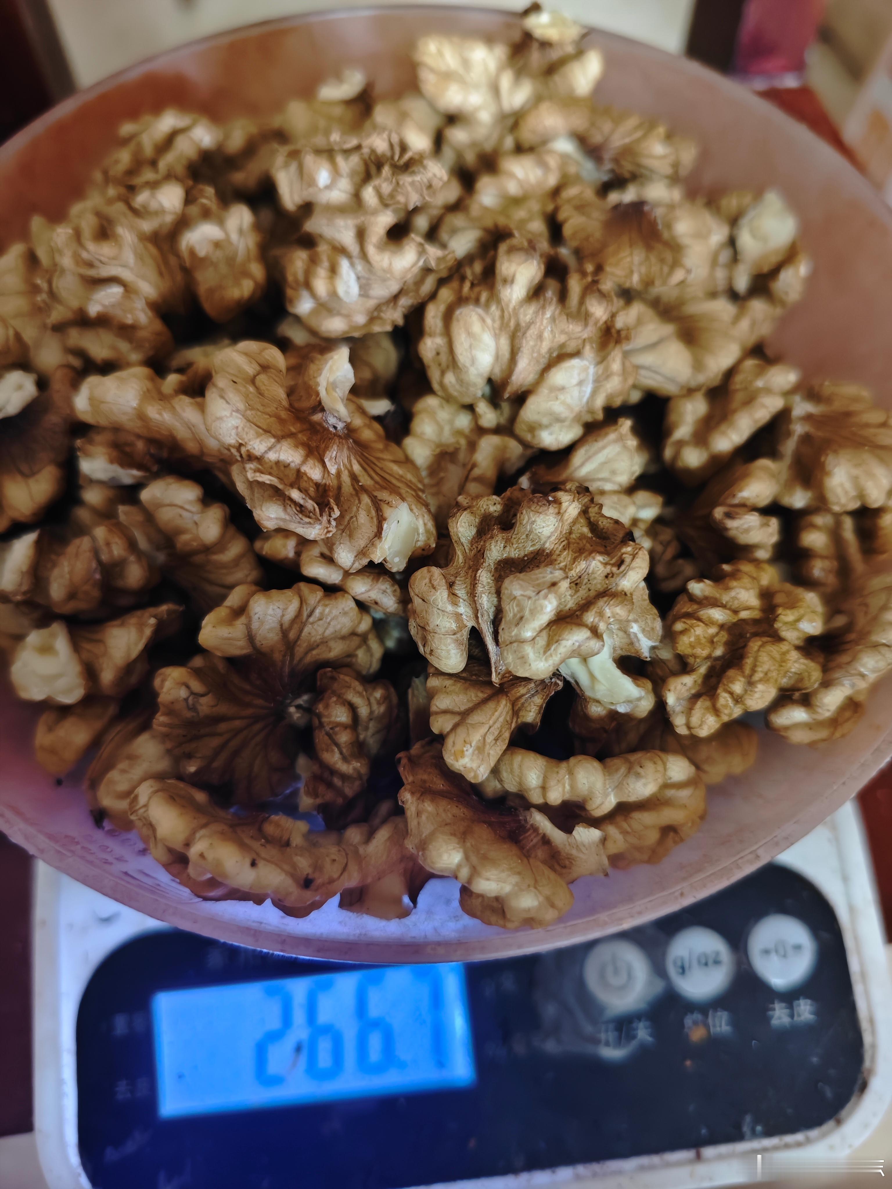 核桃的研究过年前那批核桃，留了六斤。这是最后一斤了，今天砸了。两个坏果，一个是空